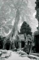 Angkor Cambodia